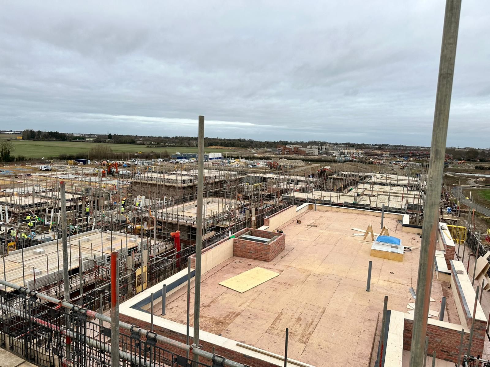 WhatsApp Image 2025-08-23 at 3.50.08 AM (5)